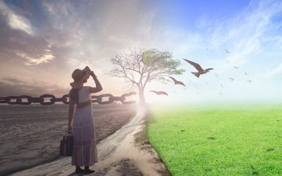 Freedom of Choice: Exchanging “Should” and “Have To” with “Want”