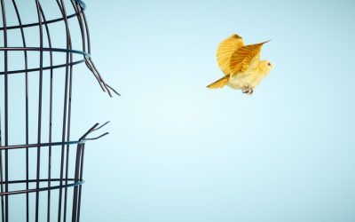 Freedom Vs. Commitment: Is the Option to Do Anything Truly Freeing?