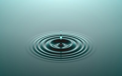 Your Purpose Doesn’t Have to Be A Grand Quest