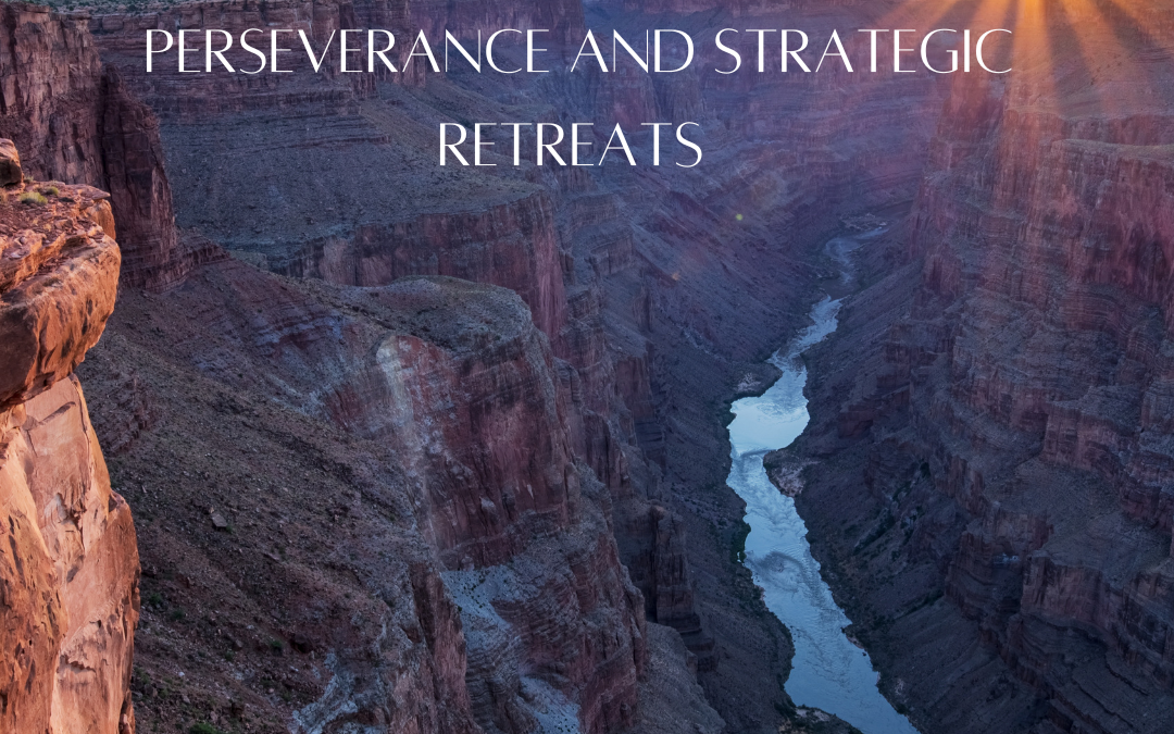Pursuing Success: Perseverance and Strategic Retreats